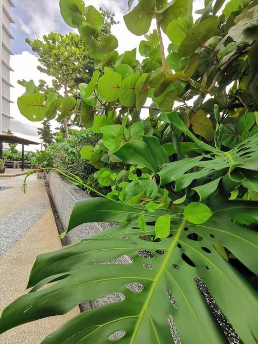 0805 The Platino Paradigm Mall Netflix Balcony By Stay Johor Bahru Exterior photo